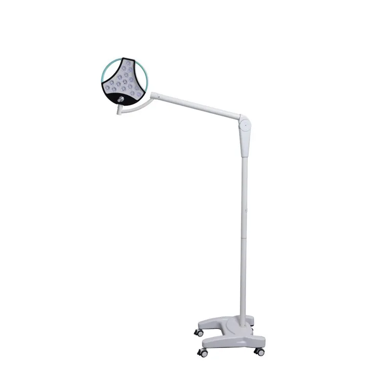 D300L